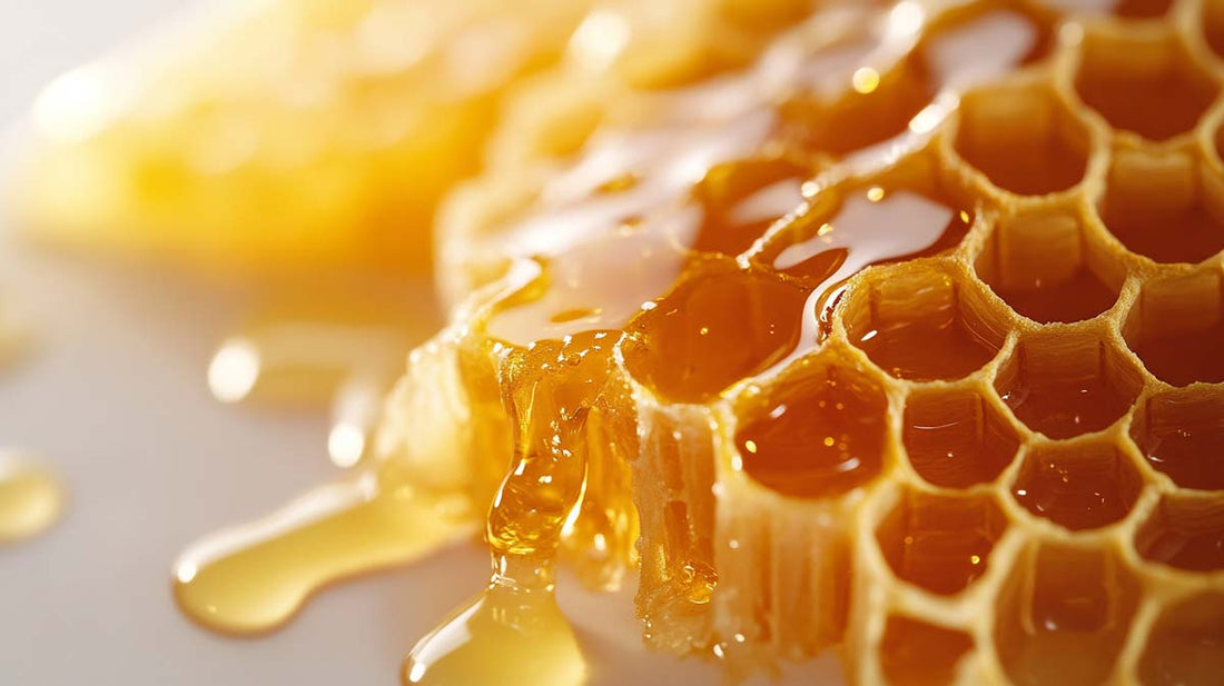 Honey vs. Refined Sugar: Why Honey Is Better